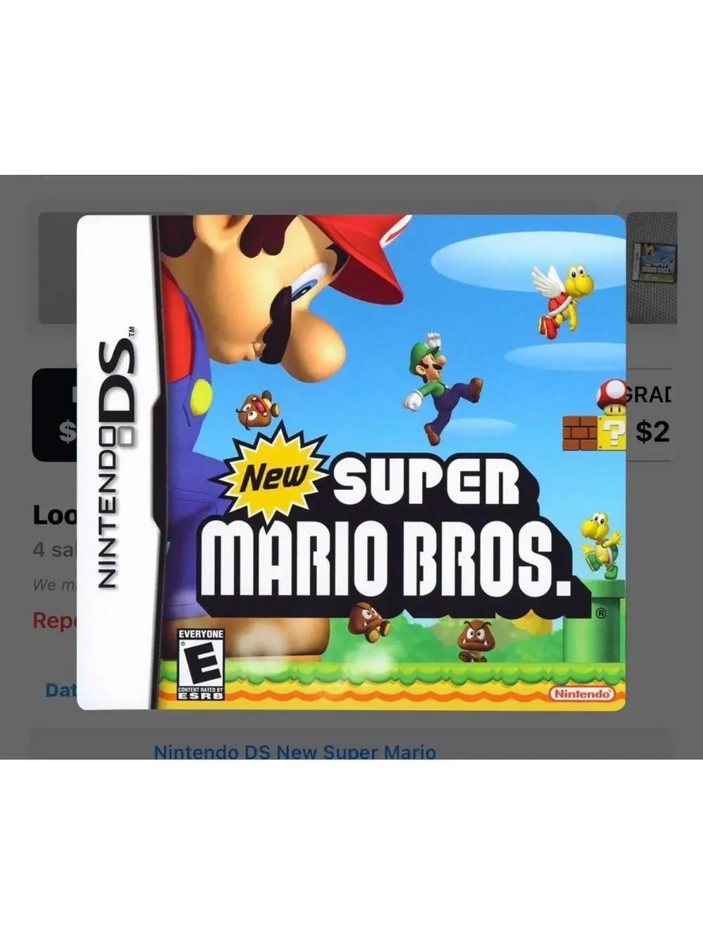 “New” Super Mario Bros. for Nintendo DS